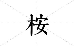 桉的笔顺