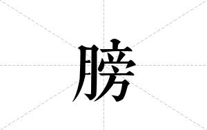 膀的笔顺