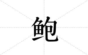 鲍的笔顺