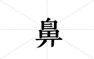 鼻的笔顺