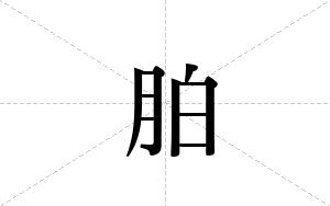 胉的笔顺