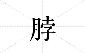 脖的笔顺