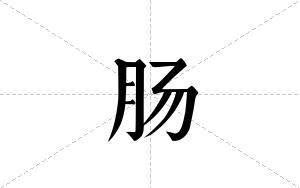 肠的笔顺