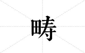 畴的笔顺
